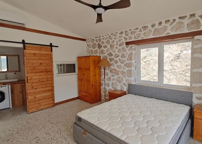 Alta Reset * Faralya