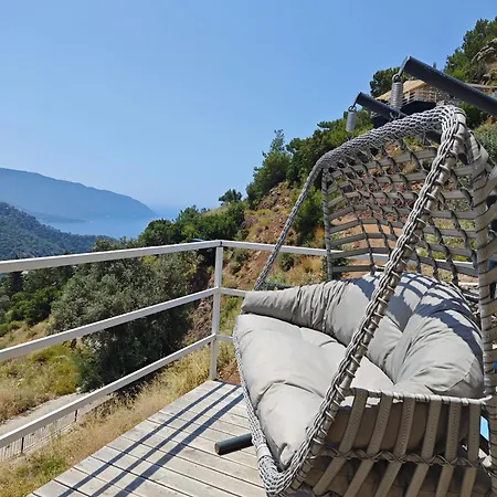 Reset *