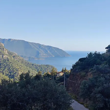 Reset Villa *