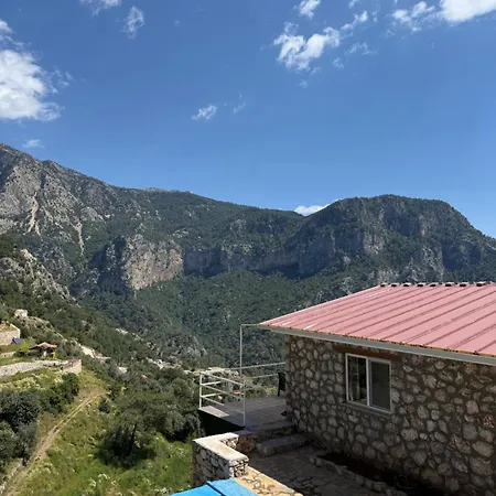 Reset Villa
