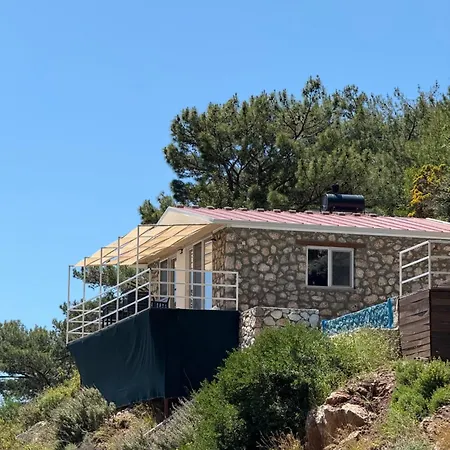 Villa Reset *